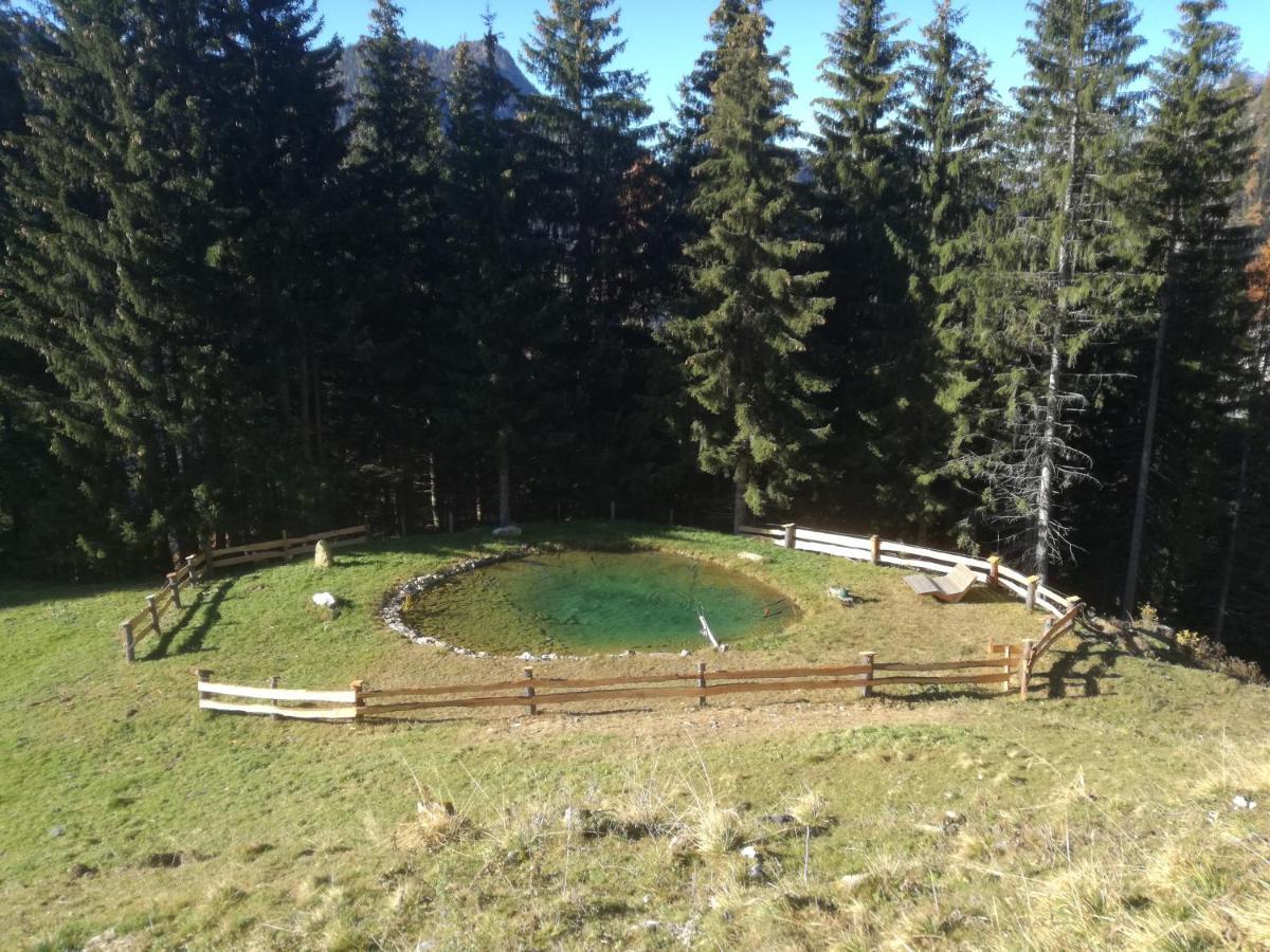 Rainer-Heimalm Villa Dorfgastein Exterior photo