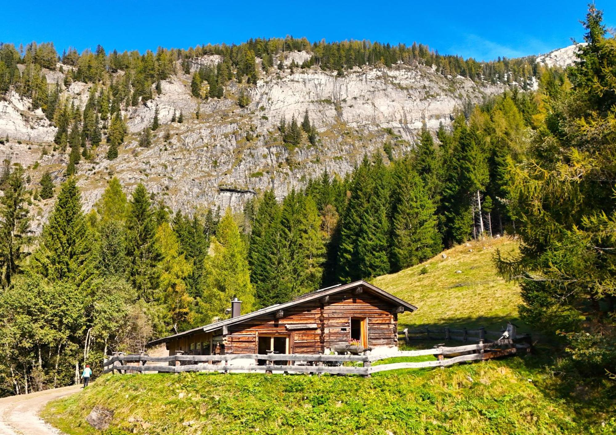 Rainer-Heimalm Villa Dorfgastein Exterior photo